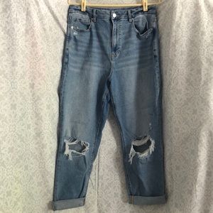 American Eagle Curvy Mom Jeans